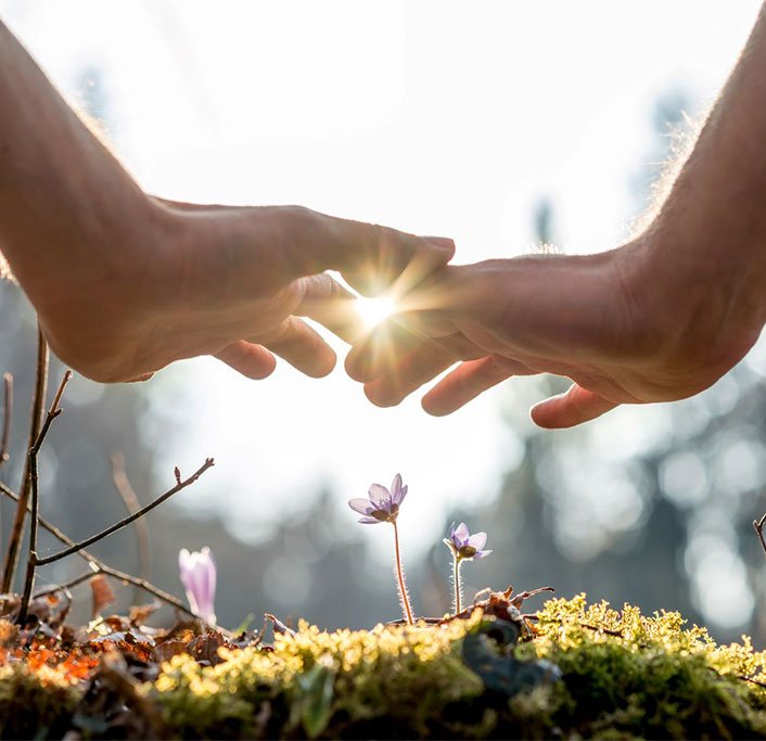 Hands sending light-filled healing energy to a budding flower